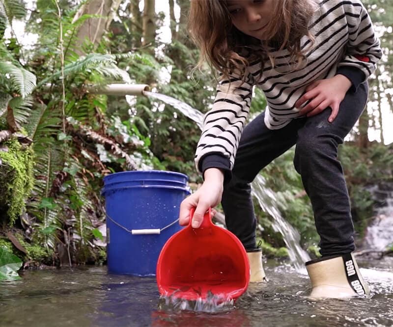 Young volunteer using a bucket in a river for salmon repopulation